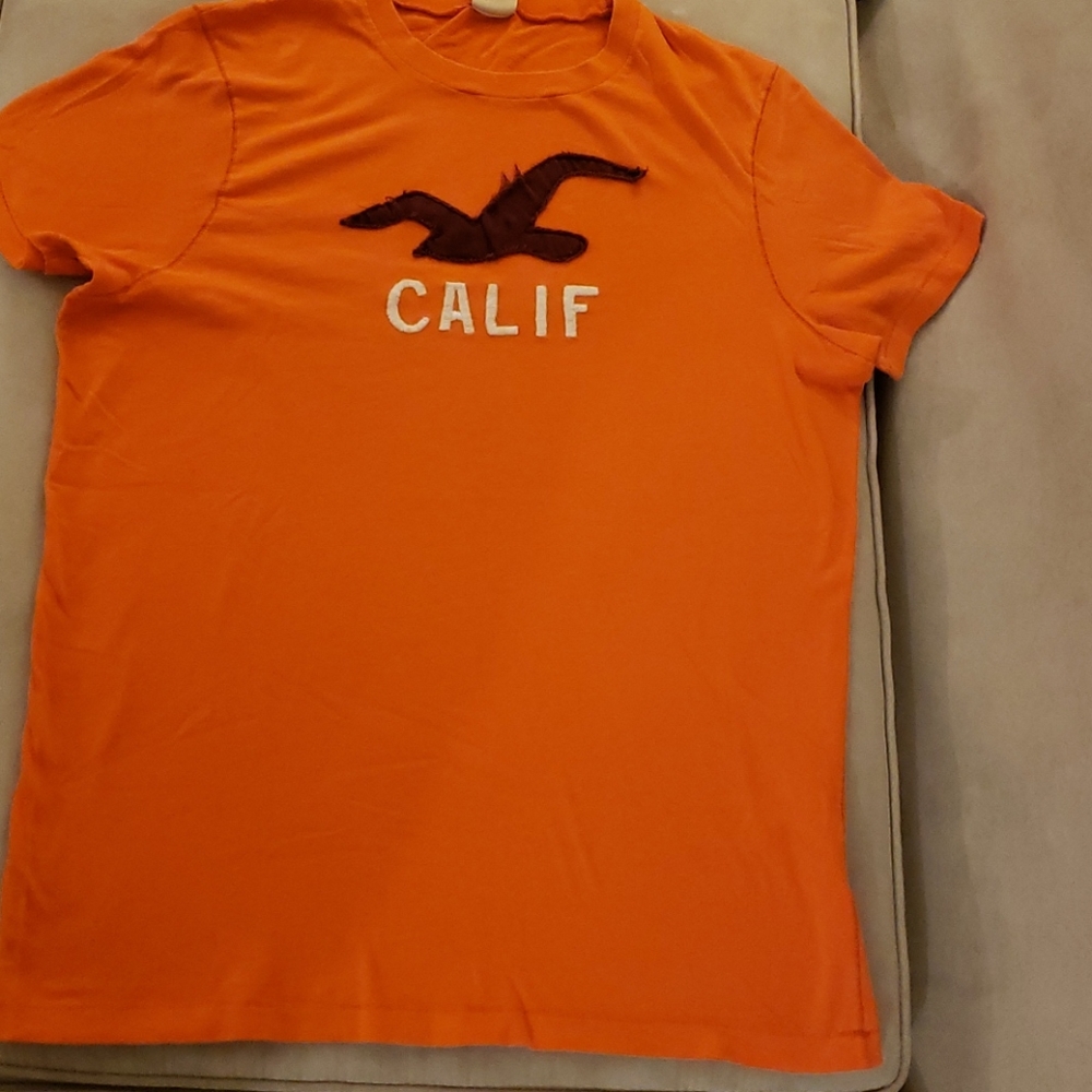 Hollister Tee | XL Mens